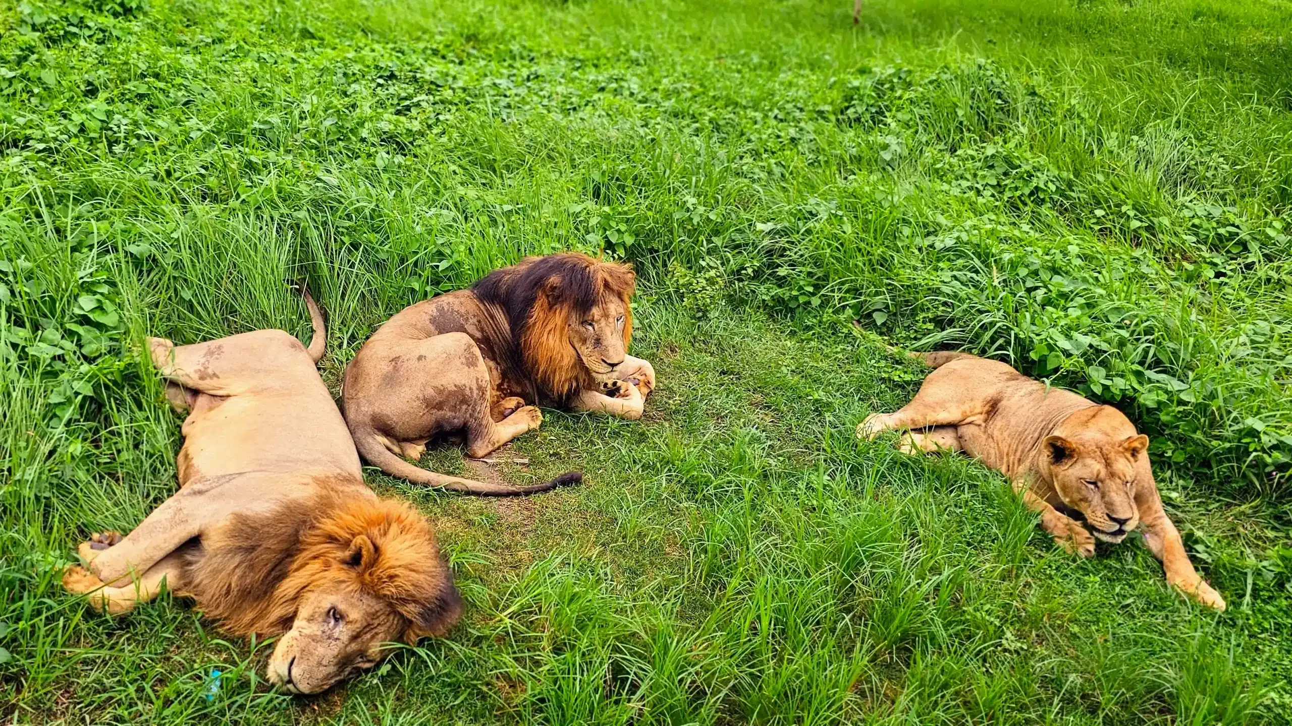 20240619_125412-EDIT