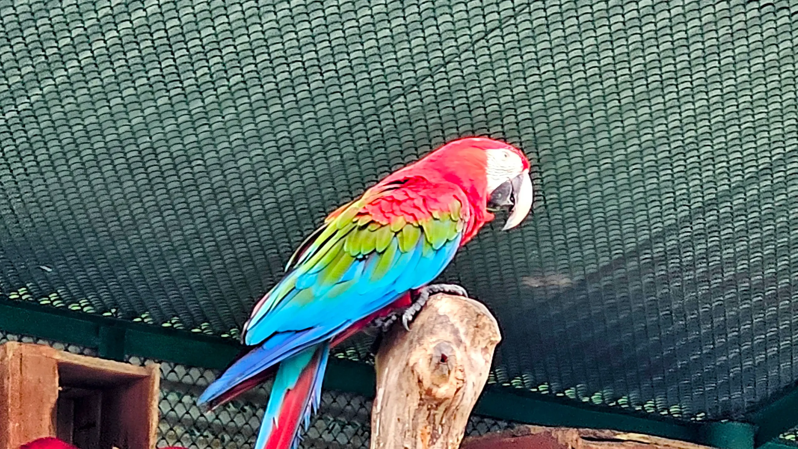 20240619_134328-EDIT